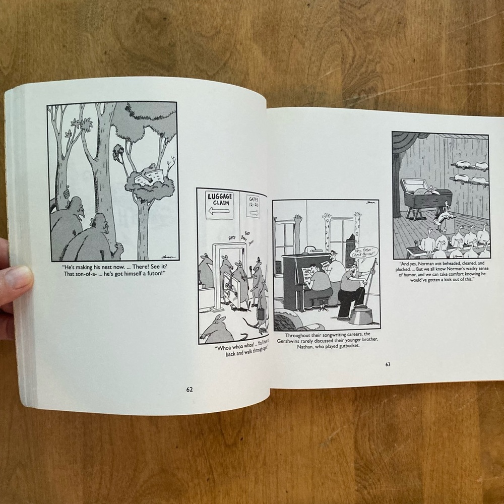 FarSide book bundle 📚 - Picture 11 of 16